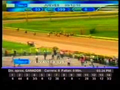 Resumen Jueves, 09 de Diciembre de 2010 -Valencia