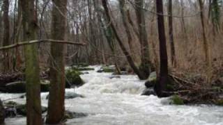 Premiata Forneria Marconi (PFM) - River of life