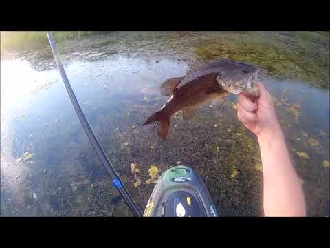 Kayak Frog Fishing for Bass