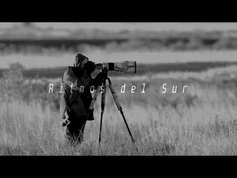 🦎 Lagartijeando |Mix| Live Set @ Fusion Festival, Alemania 2018