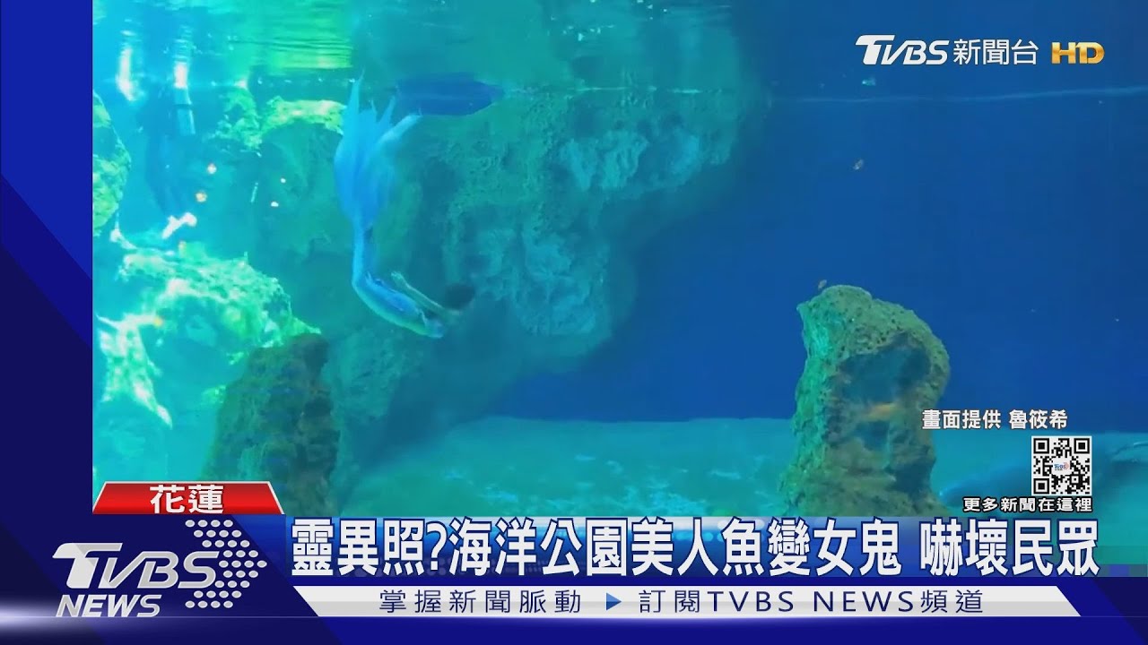 靈異照?海洋公園美人魚變女鬼 嚇壞民眾