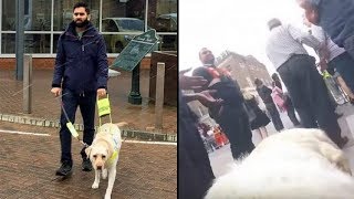 Blind Man Straps Camera To Guide Dog&#39;s Back. When Wife Sees Video Later She&#39;s Horrified