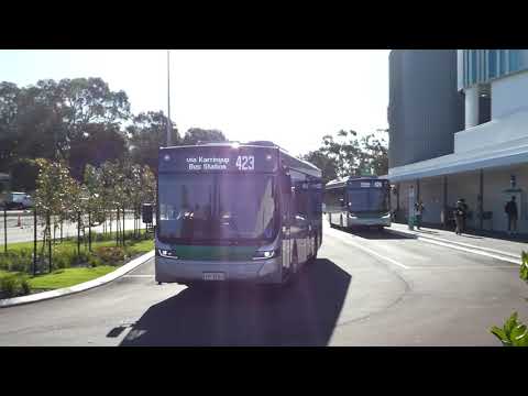 Transperth Volvo B8RLE (Volgren Optimus) TP3209 departs Karrinyup Bus Station