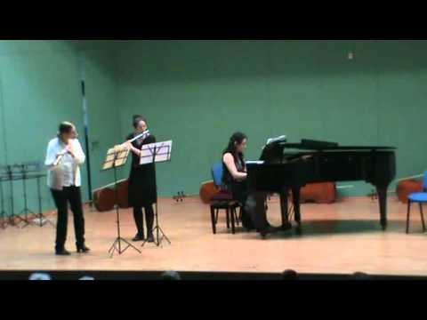 Doppler 2 flute and piano trio