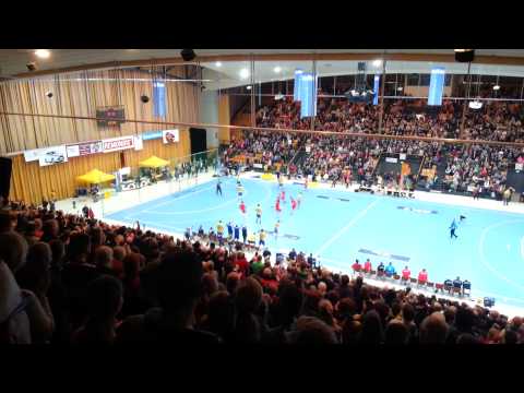 Mecklenburger Stiere - Stralsunder HV