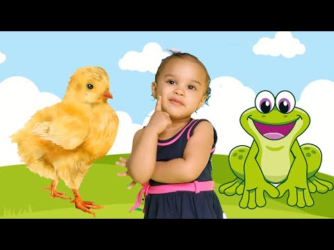 Músicas infantil Pintinho Amarelinho O Sapo não lava o pé 1 2 3 Indiozinho