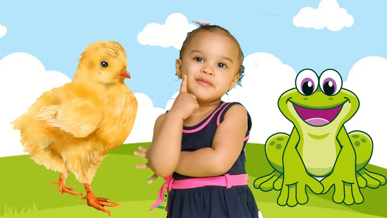 Músicas infantil Pintinho Amarelinho O Sapo não lava o pé 1 2 3 Indiozinho