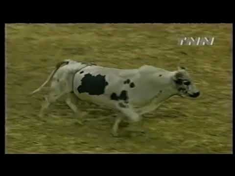 Panhandle Slim bucks Toby Turner - 00 PBR Columbus, GA