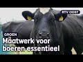 Nieuw platteland in Overijssel: nu 436 miljoen euro nodig | RTV Oost