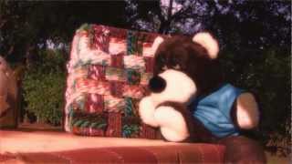 The Bear Song    OFFICIAL VIDEO