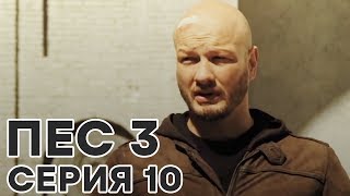 Сериал ПЕС - все серии - 3 сезон - 10 серия - смотреть онлайн