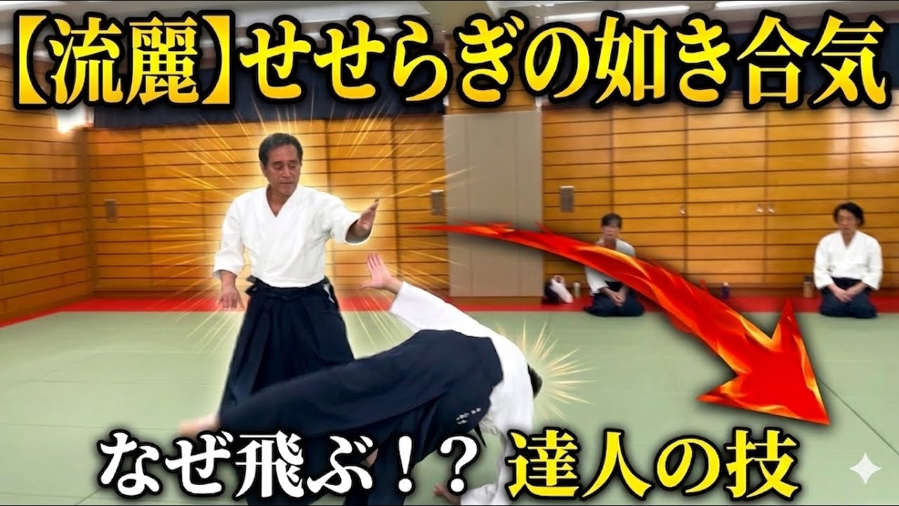 【流麗】せせらぎの如き合気。なぜこれほど滑らかに投げられるのか？