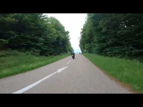 Alsazia e Foresta Nera - Day 3, Foresta Nera e campo di concentramento di Natzweiler