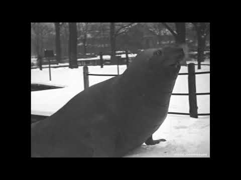 Philadelphia Zoo slide 3