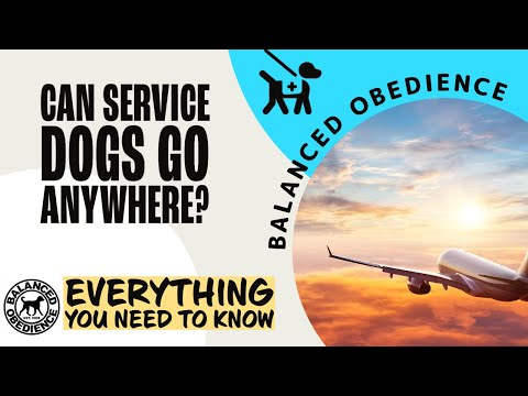 Balanced Obedience video.