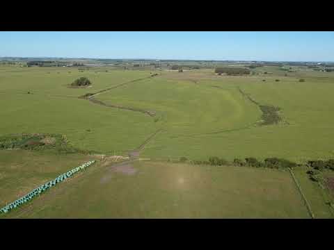 Campo de 69 Hás en Florida, Uruguay