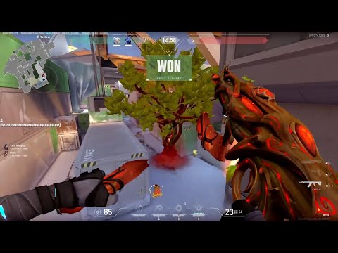 dizzy playing new omen TP