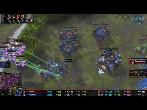 Snute vs Seither - WCS Austin - B stream