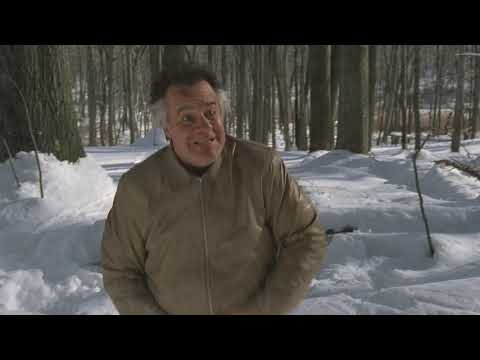 The Sopranos pine barrens scene part 10 (Blueray HD)