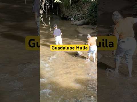 Guadalupe, Huila veré a los cauchos