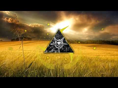[Electro House] Rush Cobra - Seil (FiZix Remix) [Digital Empire Records]
