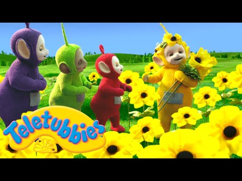Teletubbies | YELLOW | Official Season 16 Full Episode