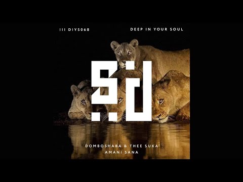Domboshaba & Thee Suka - Amani Sana