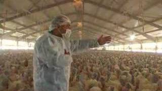 Please send all animal cruelty complaints to Jack, who did not find it funny either.