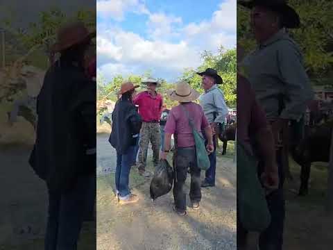 Feria y Fiesta Titular Pachalum, Quiché 