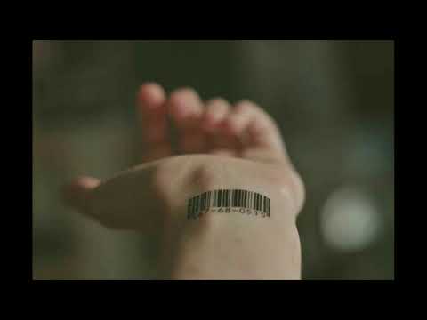 FASTHA X BRUNN BABY X D'GALAN X ZAPBOY X FOOREIGNGVNG   CODES