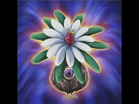 YGOPro Legendary Duels - MegaCapitalG's Monarchs vs Custom Performapal Pure