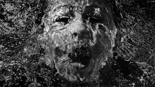 Brother Ali - They Shot Ricky  (Official Audio)