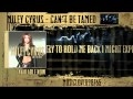 Can't Be Tamed (Karaoke Version) - Miley ...