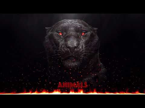 COMAH & R3ckzet - Animals