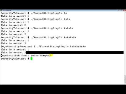 Format String Vulnerabilities Primer Part 2 Crashing the Program