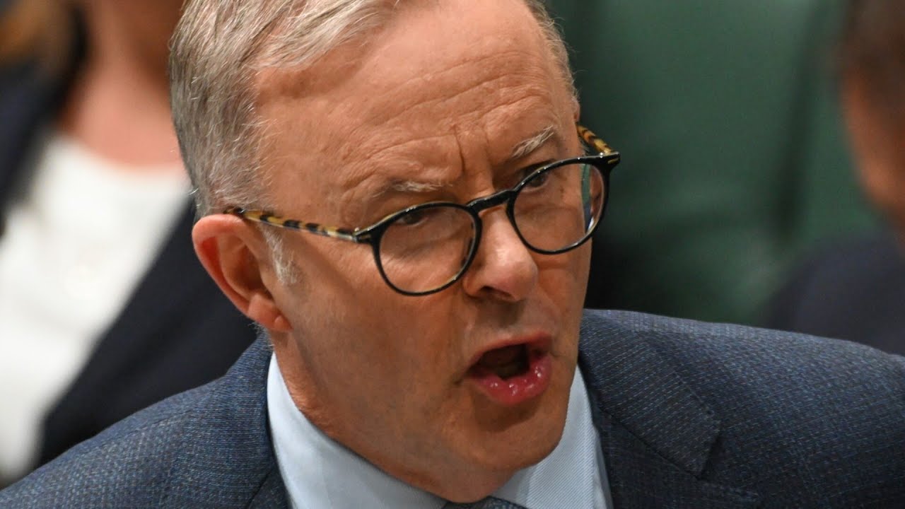 Albanese government ‘scrambling’ after it let antisemitism explode: Bolt