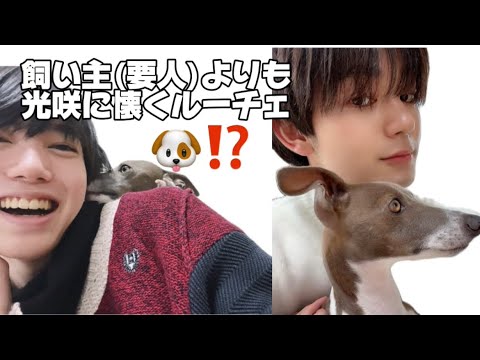 【原因は自分にある。】飼い主よりも懐かれたゆえマウントをとる小泉光咲さんと不憫な吉澤要人さん。