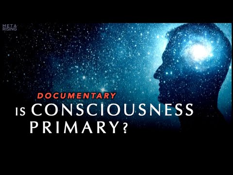 Is Consciousness Primary to Reality? (Documentary)