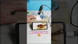 Download lagu This USB Microscope Camera Shows What the Eye Can’t See! 🔬 | Mind-Blowing Gadget 2025#shorts#gadgets mp3 Download lagu This USB Microscope Camera Shows What the Eye Can’t See! 🔬 | Mind-Blowing Gadget 2025#shorts#gadgets mp3
