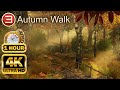 AUTUMN WALK 4K 1 Hour Of Serene Forest With Relaxing Music