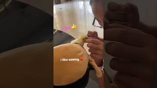 裁縫を愛するオカメインコのマンゴー🥭さん！