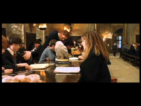 Harry Potter and the Philosopher's Stone deleted scene - Hermione v.s. Ron (HD)