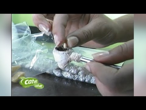 Crack: an addiction that doesn't discriminate based on race, gender, social class, or religion.