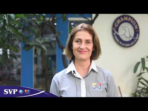 Sekolah Victory Plus English Programme