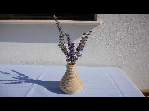 Guesthouse Apartment Božica - Bol - Croatia