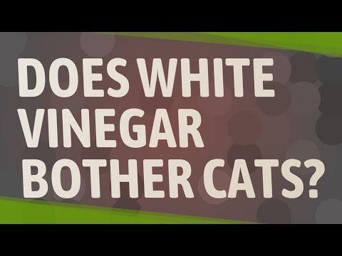 Does white vinegar bother cats?