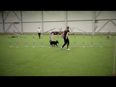 Odpolední hurá zkoušky - Berry a její první start v A1