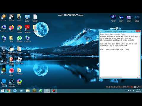 atarikafa slime rancher de hile yapıyor