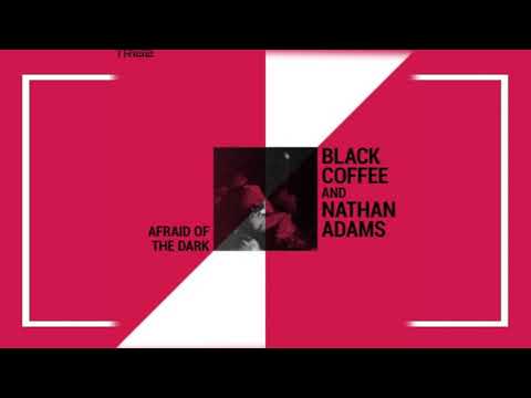 Black Coffee and Nathan Adams - Afraid of the Dark (Original)