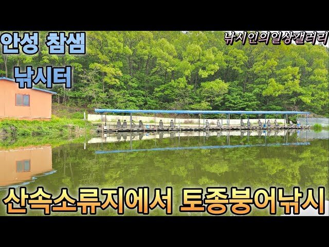 산속소류지에서 토종붕어낚시 썸네일